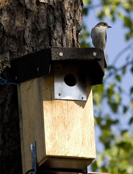 Keskipisteessä raisiolaiset 157