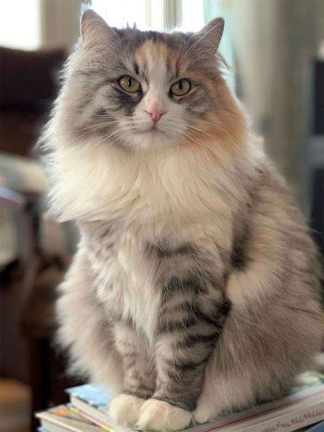 Pasi Kujala Kokoomus Raisio 157 2025